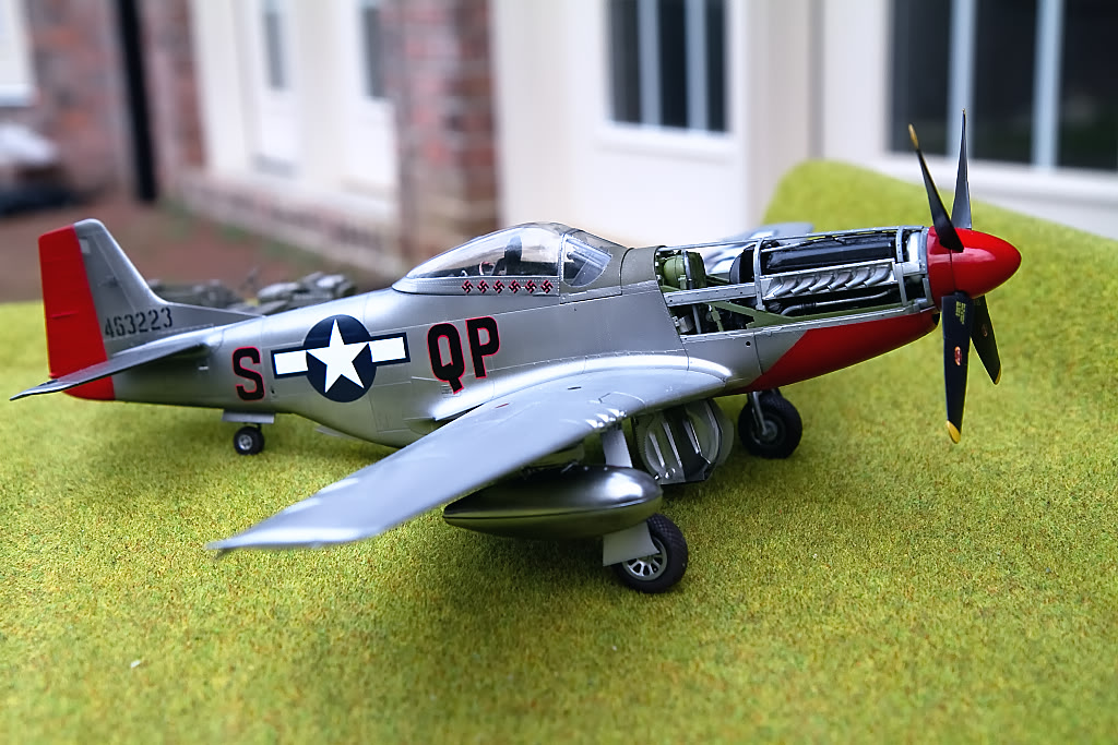 mustang4-1.jpg