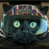 FlightSimmer