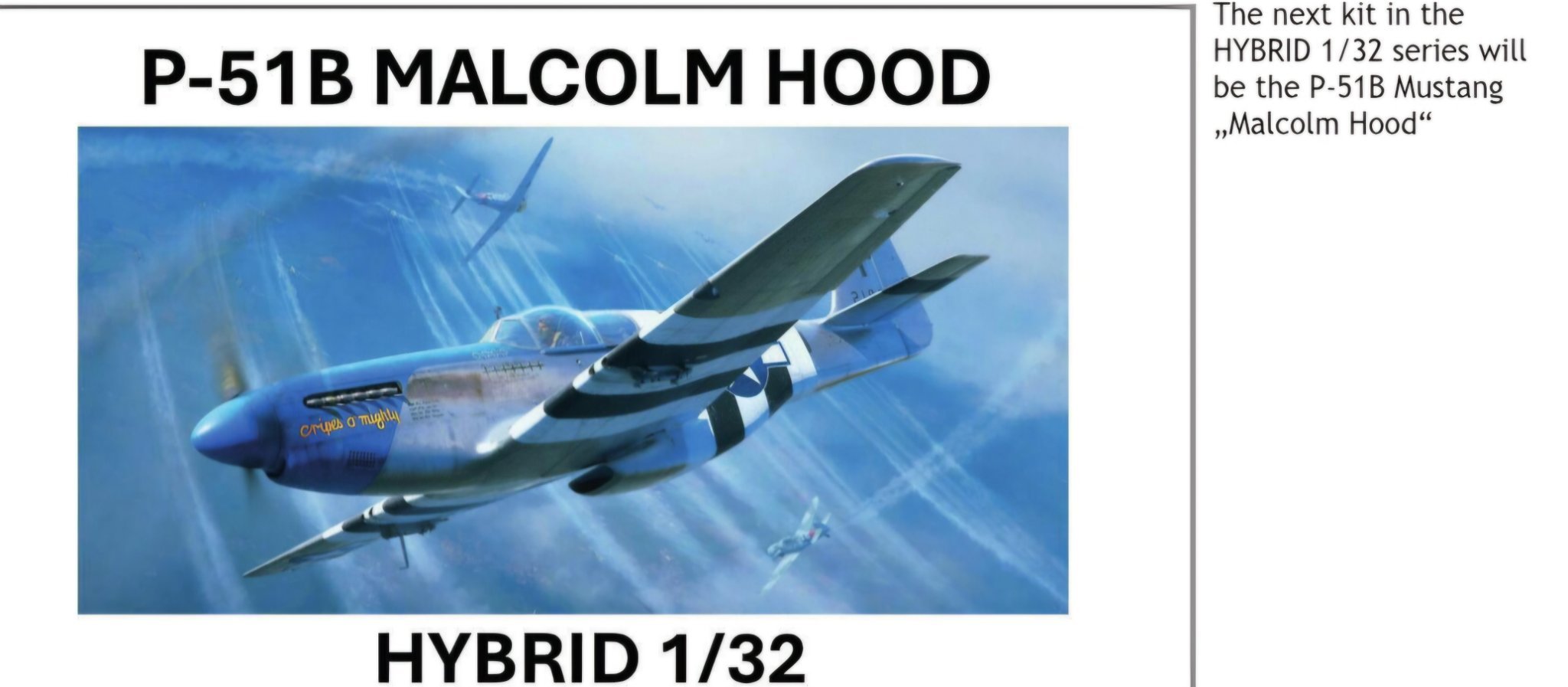 Eduard 1/32 P-51B instructions on website - LSP Discussion - Large
